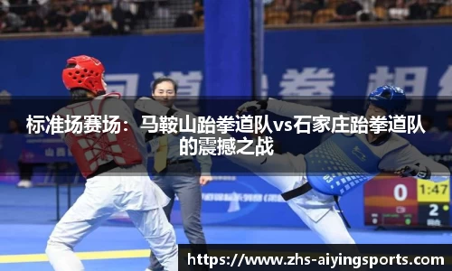 标准场赛场:马鞍山跆拳道队vs石家庄跆拳道队的震撼之战